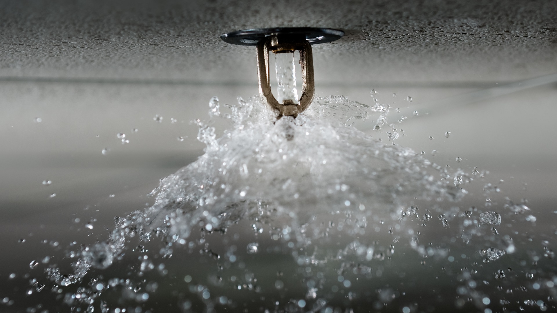 Fire Sprinkler System